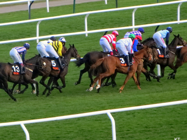 By Carine06 from UK (Quevega's mares' hurdle) [CC BY-SA 2.0 (http://creativecommons.org/licenses/by-sa/2.0)], via Wikimedia Commons