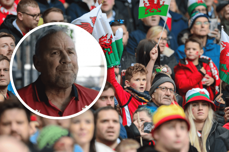 Wayne Pivac and Wales fans