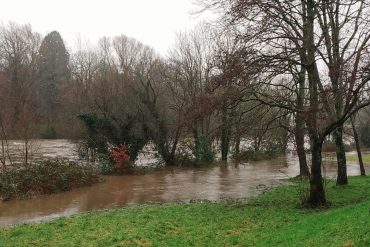 The River Taff over spilling its banks in January. Credit: Michael Munnik