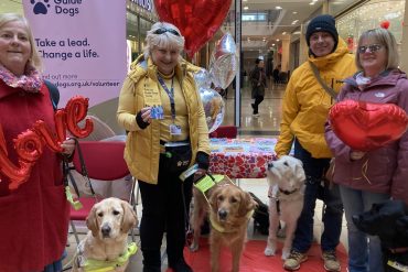 Guide dog owners and fosterers: Hilary Lester with Portia, Carole Morgan with Jason Dogovan, Steve Sims with Souly, and Sue Sims with Saxon. Credit: Derry Salter.