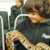 A young boy smiles as he holds a large snake