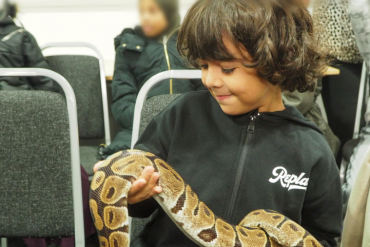 A young boy smiles as he holds a large snake