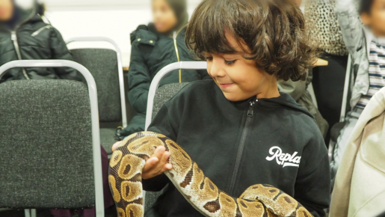 A young boy smiles as he holds a large snake