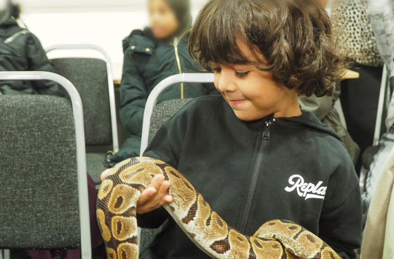 A young boy smiles as he holds a large snake